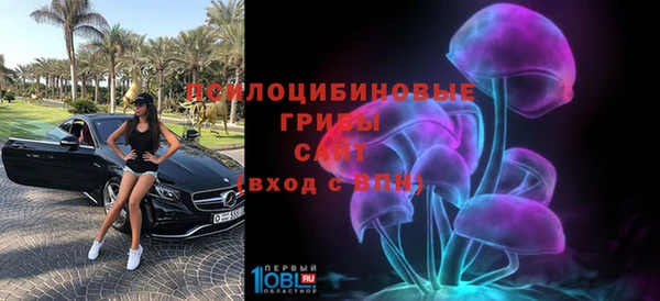 гидропоника Абаза