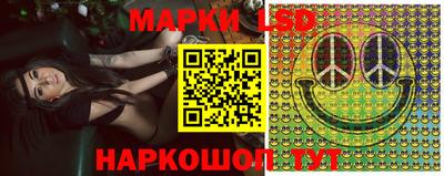 индика Нальчик