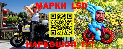 индика Нальчик