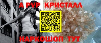 индика Нальчик