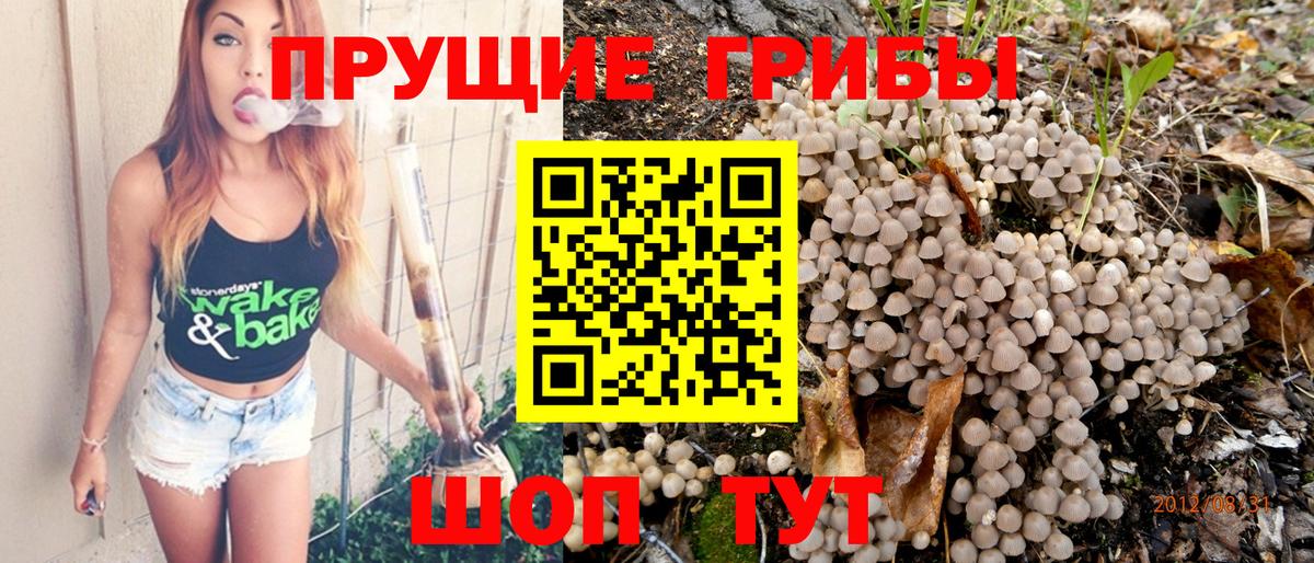 Галлюциногенные грибы Cubensis Уфа